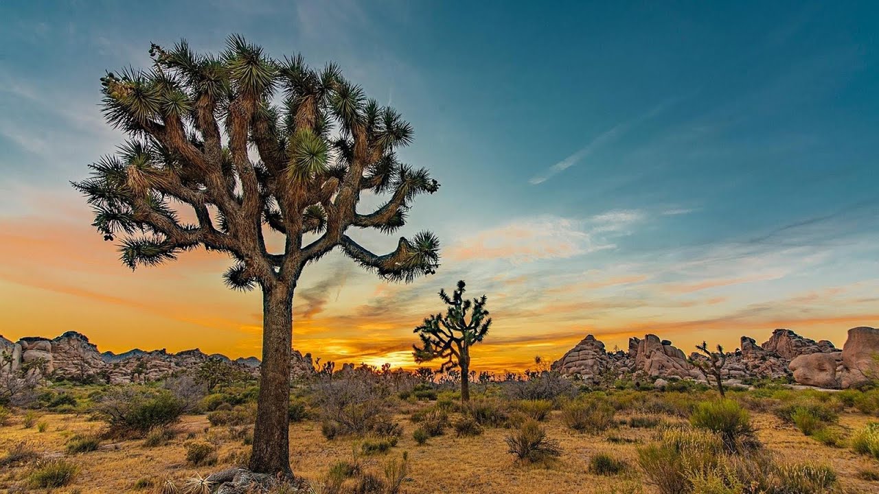 18 Mismanaged Projects in US National Parks