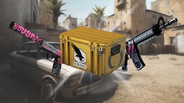 Opening case almost everyday until i get a gold #12