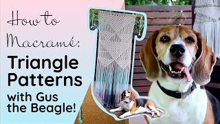 How To Macrame Triangle Patterns With Special Guest Gus The Beagle