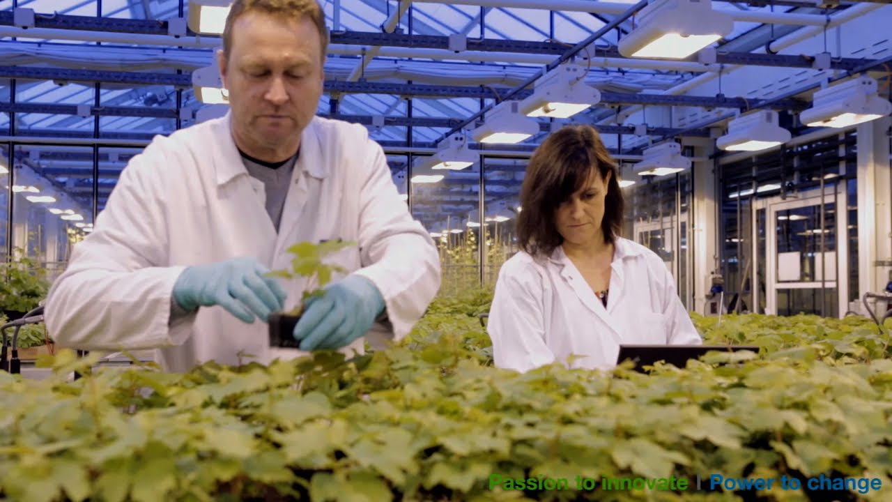 R&D IT @ Bayer - Enable world class R&D