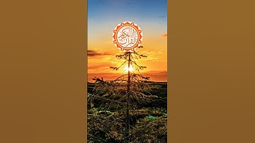 👰👰 surah nisa👰👰 || سورة النساء ||🌹🌹 #viral #quranictranslation #quran #surhmulk #surah #الله