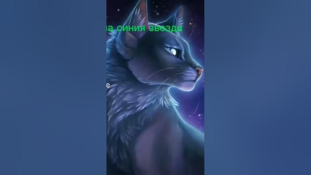 ваше/наше каты ваители - YouTube
