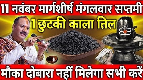 11 नवंबर मार्गशीर्ष मंगलवार सप्तमी के दिन 1 छुटकी काला तिल वाला उपाय जरुर करे || Pradeep Ji Mishra