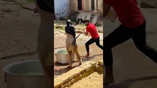 Haryana Me Devar Bhabhi Ki Holi