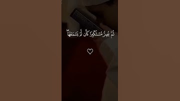 " سورة الجاثية - تلاوة خاشعة "