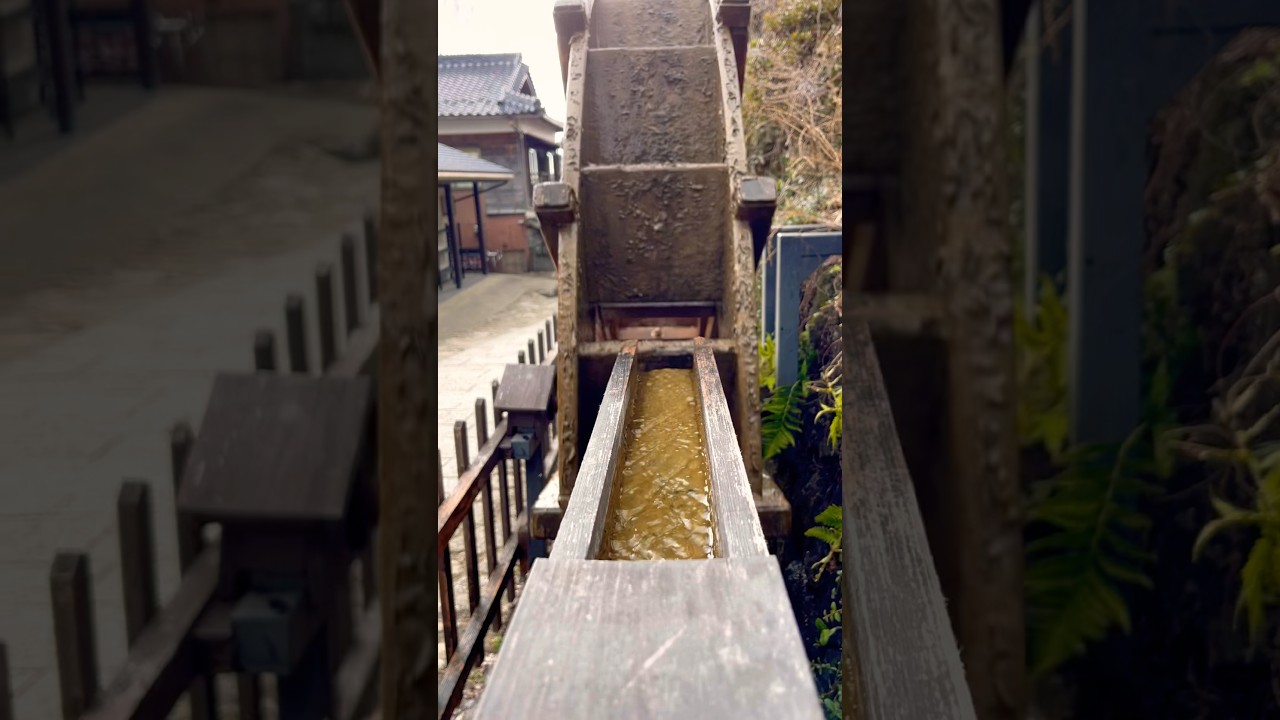 The adventure of life and it’s little joyful moments 