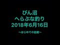 びん沼へらぶな釣り20180616
