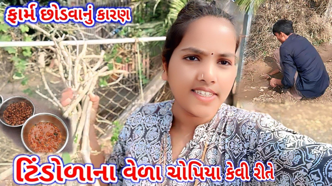  ફાર્મ છોડવાનું કારણ / ટિંડોળાના વેળા ચોપિયા કેવી રીતે..🤪 #vlog Rekha Sanjay Life 
