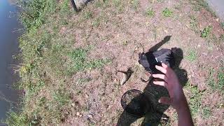 Cavedano Mal Gestito