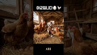 사격중지! 아군입니다!🐔🤣