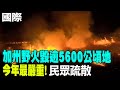 【每日必看】今年最嚴重! 加州野火毀逾5600公頃地 民眾疏散｜墨西哥首位女總統當選 政策承襲前任路線 20240604