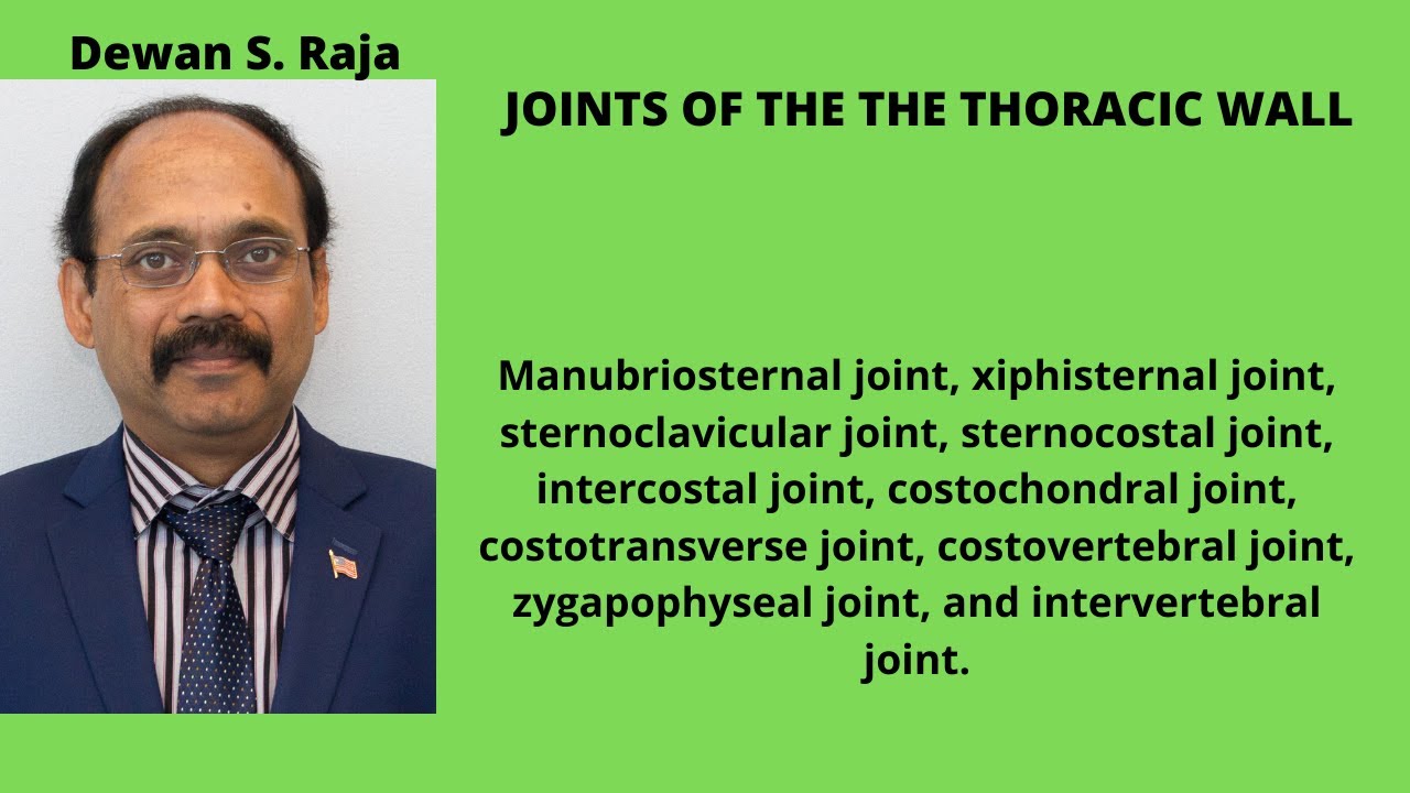 JOINTS OF THE THORACIC WALL