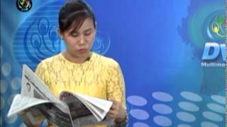 DVB - Newspaper 01 20142505
