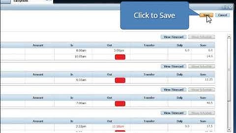 Part III Viewing Exceptions in Kronos YouTube Video