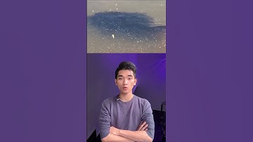 Cá lóc khổng lồ