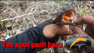 Tak d sangka spot Parit baru lansung ada penghuninya..