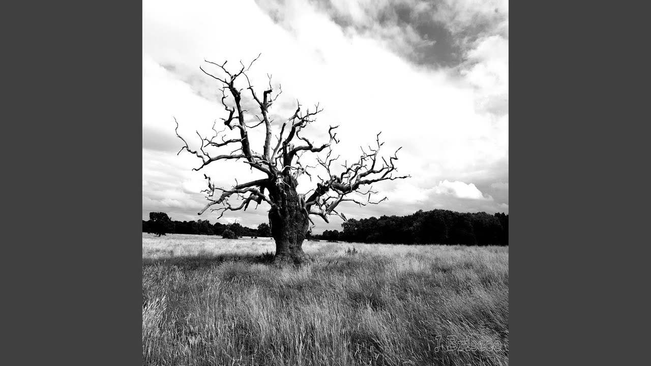 Dakota (Trance edit)