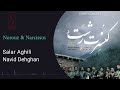 سالار عقیلی نوروز و نرگس Salar Aghili Norouz Narcissus 