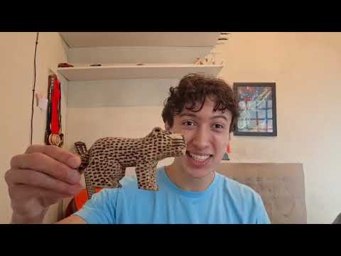 Thumbnail do vídeo