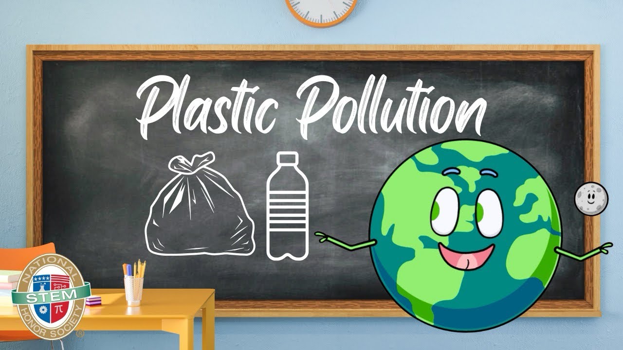 Plastic Pollution Explained | How It Impacts Oceans, Wildlife & Humans