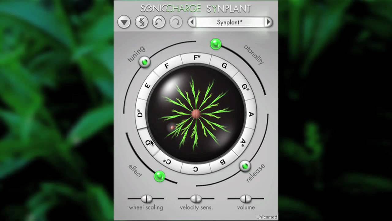 sonic charge synplant vst