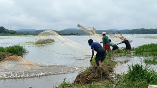 മീൻ വേണ്ട എന്നുപറഞ്ഞു വീശിയ ദിവസം 😒| kerala village monsoon cast net fishing | fishing techniques