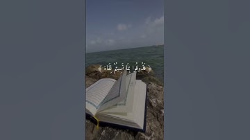 #القرآن_الكريم #ايات_قرانيه_قصيره #آيات_من_كتاب_الله #عبدالرحمن_مسعد #راحة_نفسية