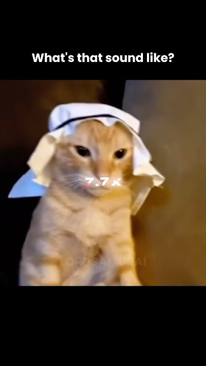 Egyptian cat meme but it gets slower