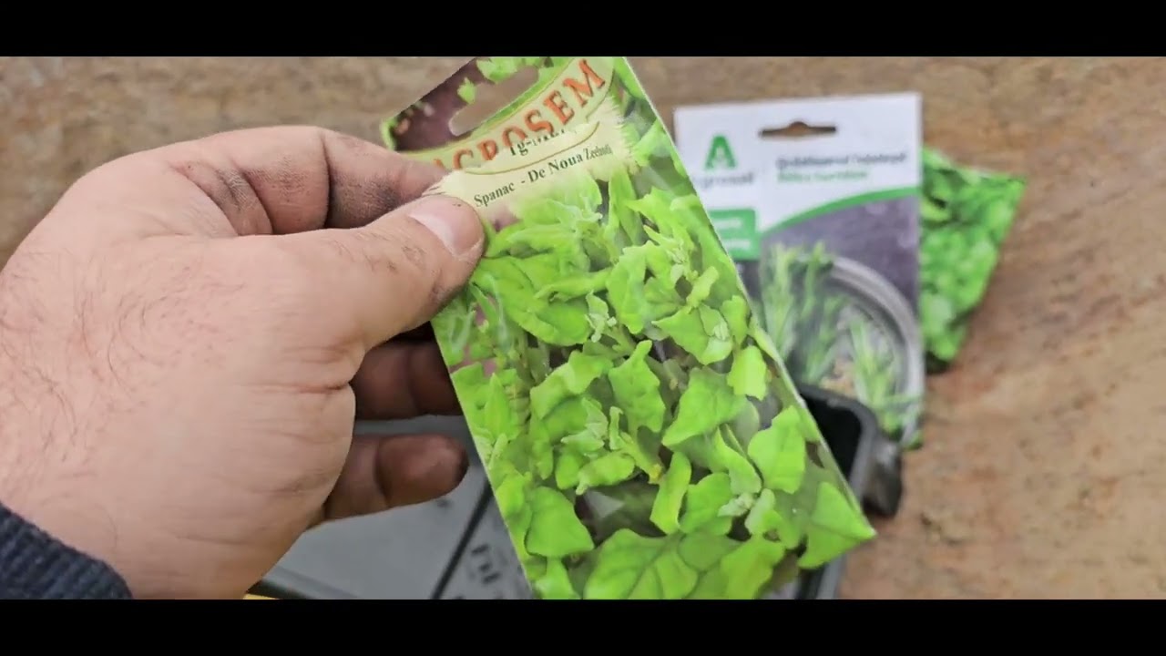 Márciusi vetések egyenesen a kertbe