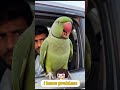 “Savage parrot roasted the police 😂🦜”