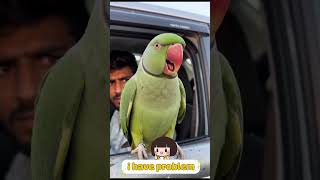 “Savage parrot roasted the police 😂🦜”