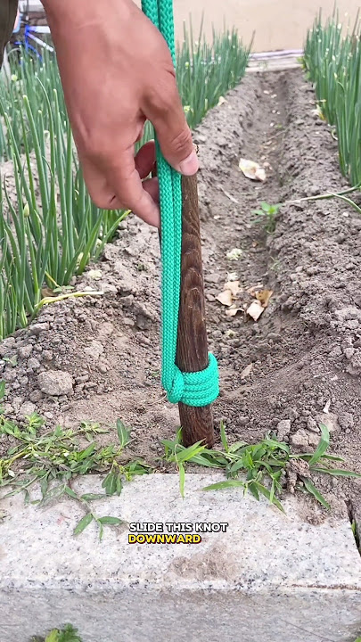 Pull Out Stuck Stakes Instantly with This Rope Trick