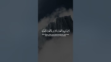 لا يستوي اصحاب النار واصحاب الجنه اصحاب الجنه هم الفائزون | سورة الحشر | علي جابر