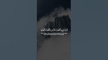لا يستوي اصحاب النار واصحاب الجنه اصحاب الجنه هم الفائزون | سورة الحشر | علي جابر