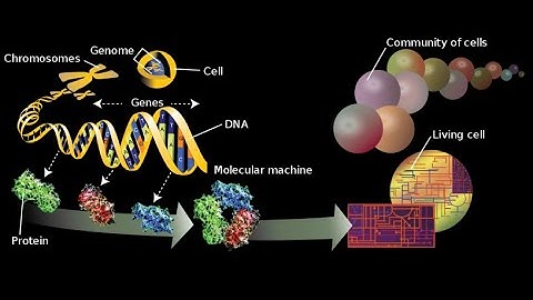 Omics  Genomics, Proteomics, Transcriptomics   Biochemistry, and Molecular Biology  How Life Works