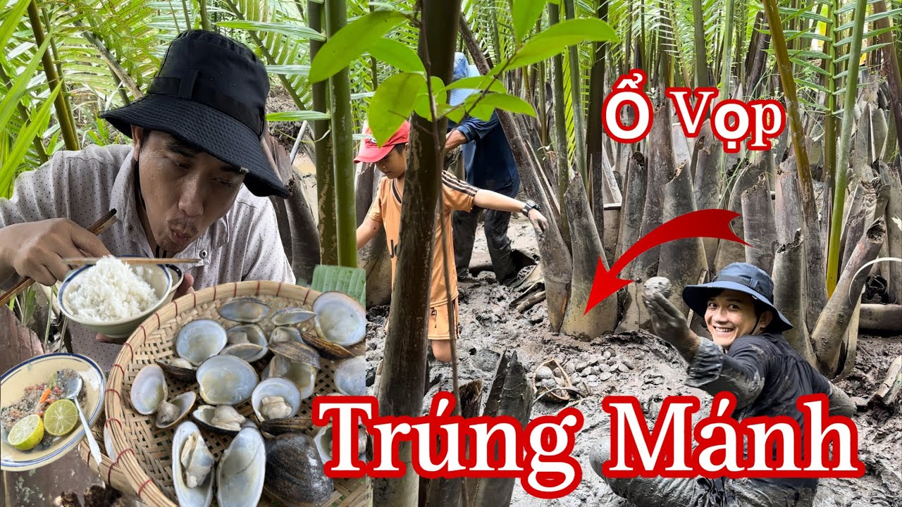 Bắt Ổ Vọp Sông Dưới Rừng Lá Dừa Nước Gặp Sìn Lầy, Hấp Sả Siêu Ngon ...