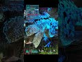 Акрокантозавр приручение пауком Аранео АРК PVE #arksurvivalascended AWS Project ASA