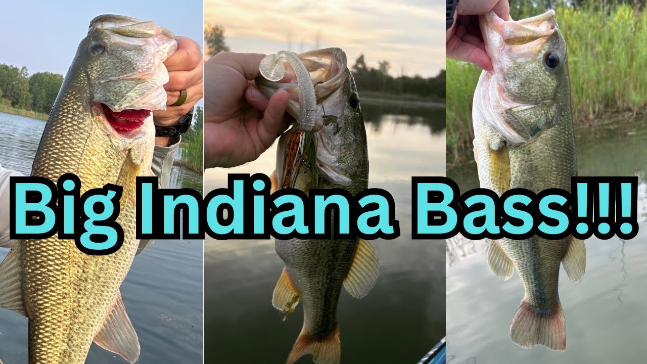 Big Bass Catches of 2023
