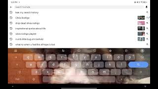 Leak my search history with me