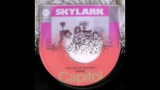 skylark- Wildflower.