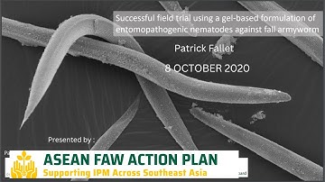 Gel-based formulation of Entomopathogenic Nematodes (EPN) against Fall Armyworm