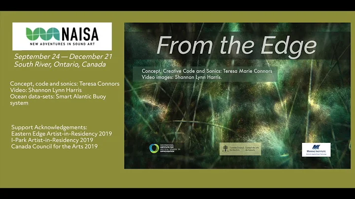 Data and Nonlinear Audiovisual Art by Teresa Conno...