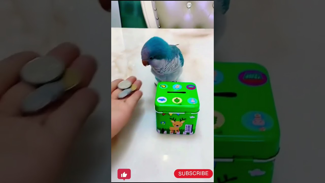 Smart Parrot 🦜