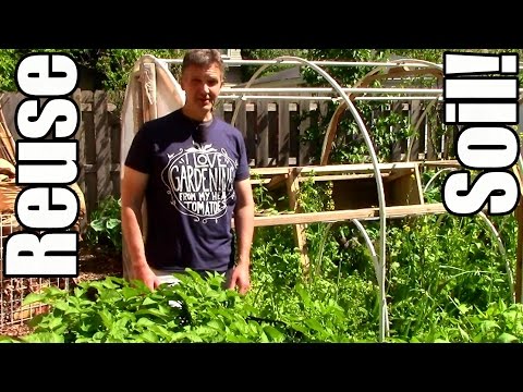 How to Revitalize