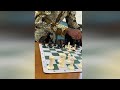 Lessons on Chess and Life