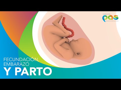 Que Carrera Se Especializa En El Parto De Bebes