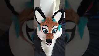 my first  fursuit  comment down below if u like my fursuit  :)