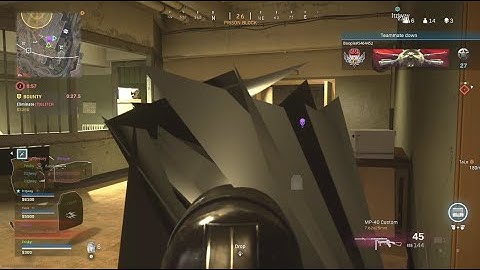 Holding a Sea Urchin in Warzone