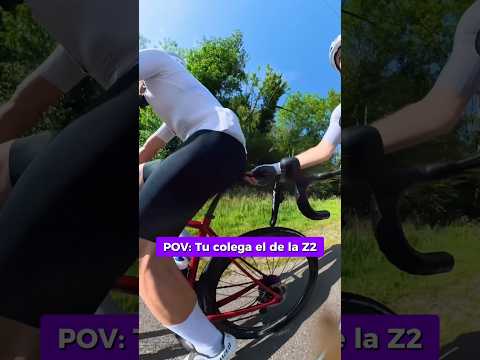 POV: tu colega el de la Z2