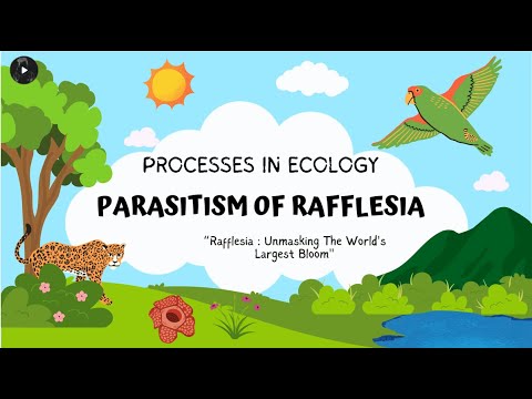 PARASITISM OF RAFFLESIA (BIO464 AS2012B 2024) - YouTube